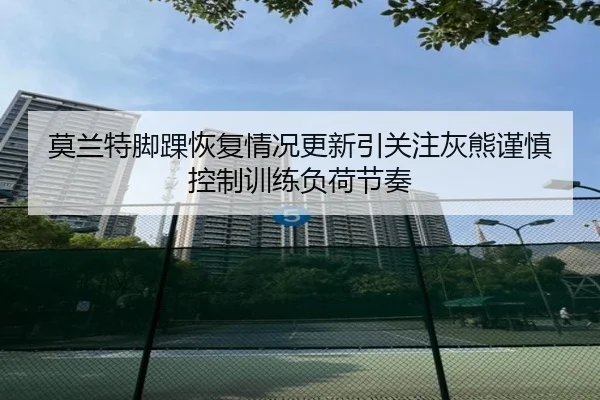 莫兰特脚踝恢复情况更新引关注灰熊谨慎控制训练负荷节奏